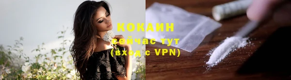 крисы Балахна