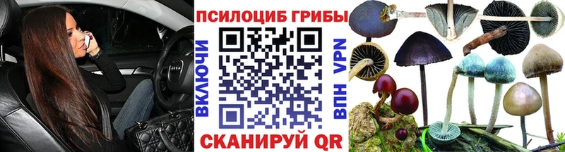 Псилоцибиновые грибы GOLDEN TEACHER  Бикин 
